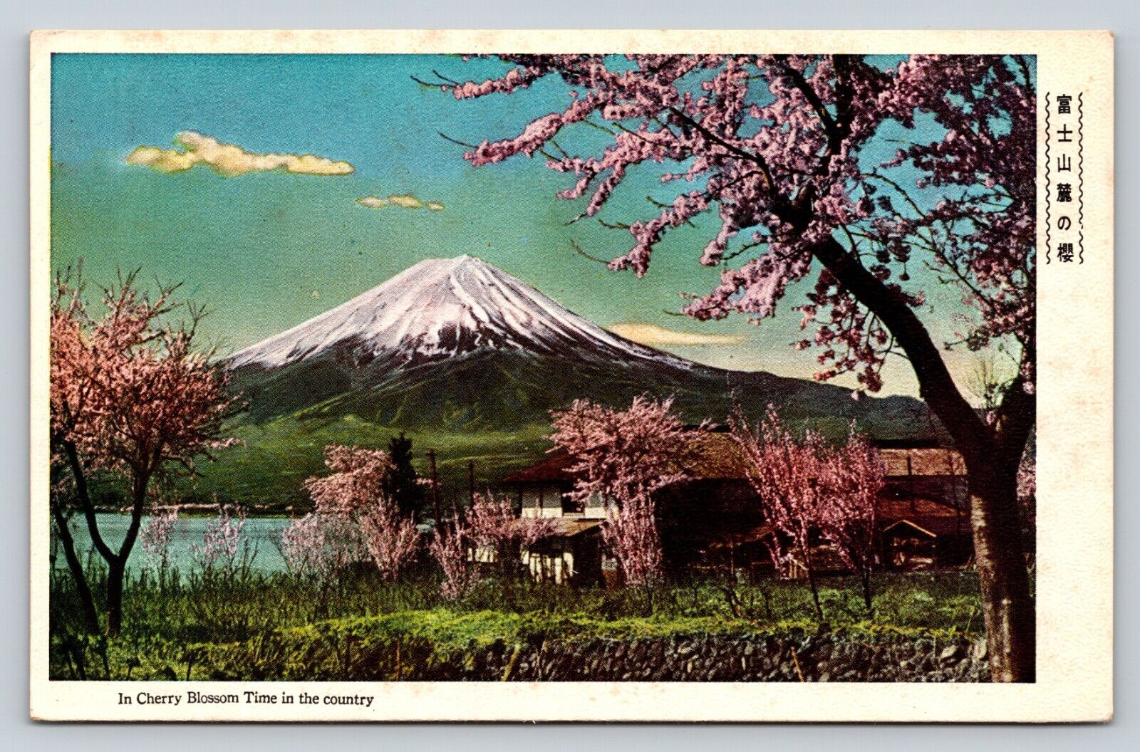 Mount Fuji Japan Cherry Blossom Time In The Country VINTAGE Postcard