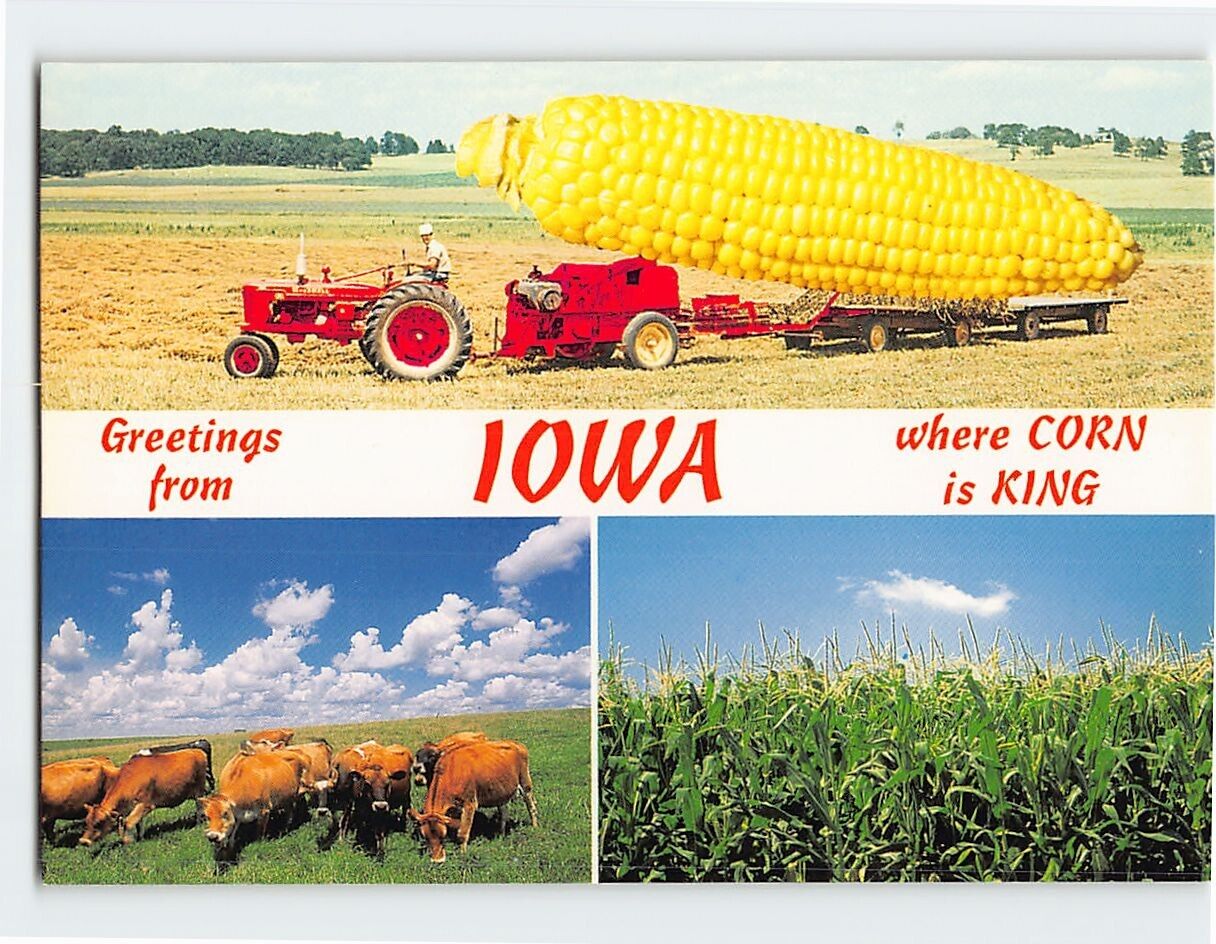 Postcard Greetings from Iowa \