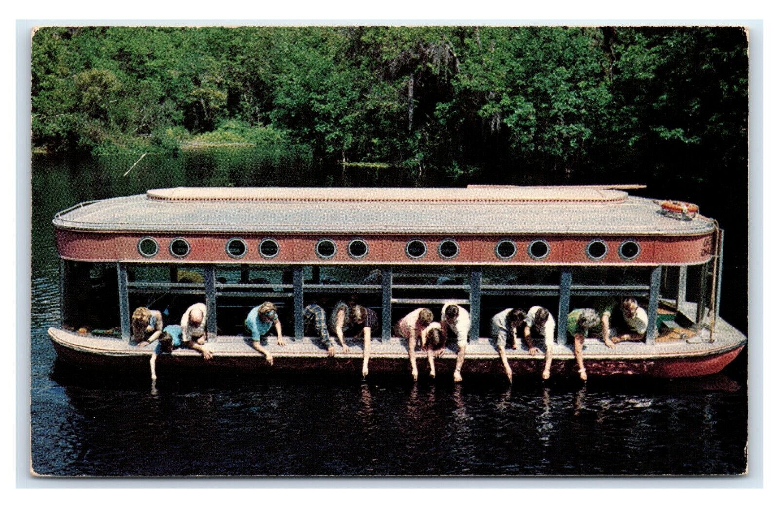 Postcard Florida\'s Silver Springs Glass Bottom Boats Hand Feeding Fish J22