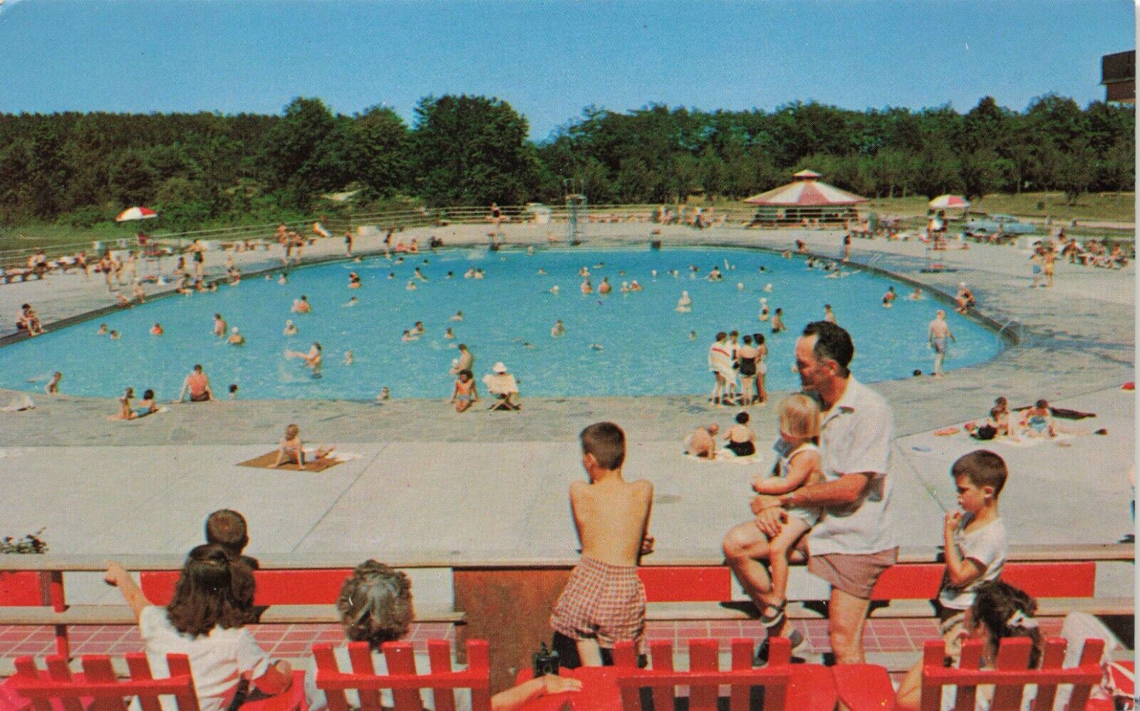 Albany New York People Swimming Pool Thacher State Park 1950s Vintage Postcard
