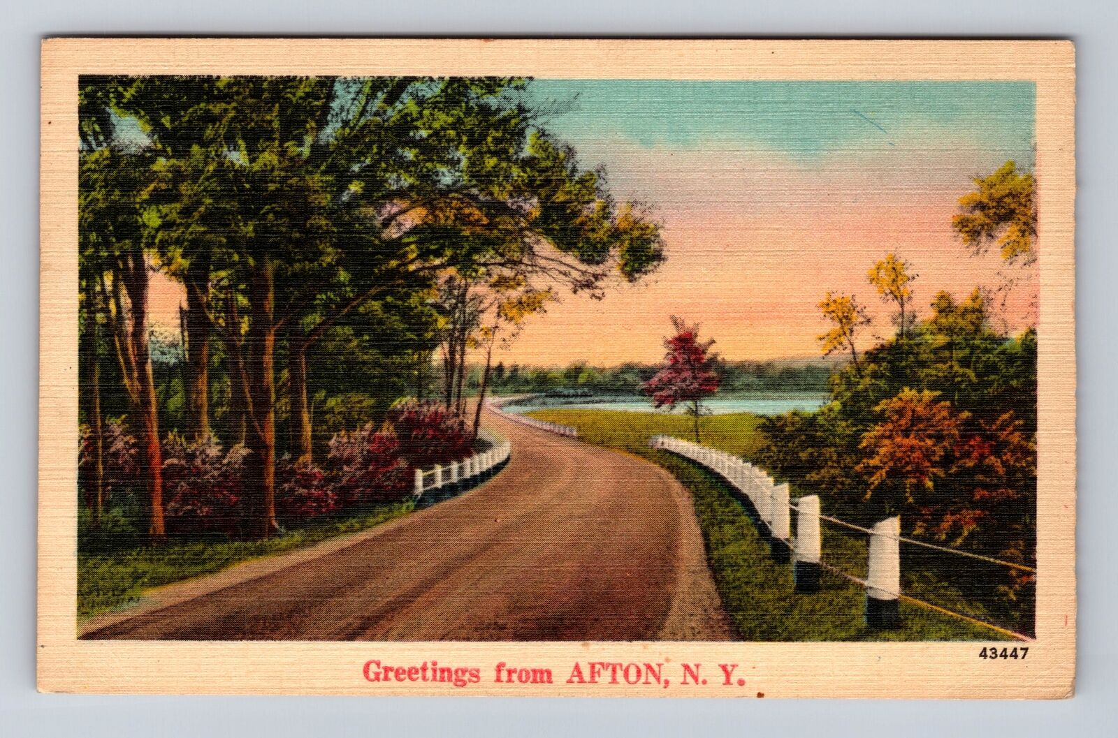 Afton NY-New York, General Greetings, Scenic Roadside, Antique Vintage Postcard