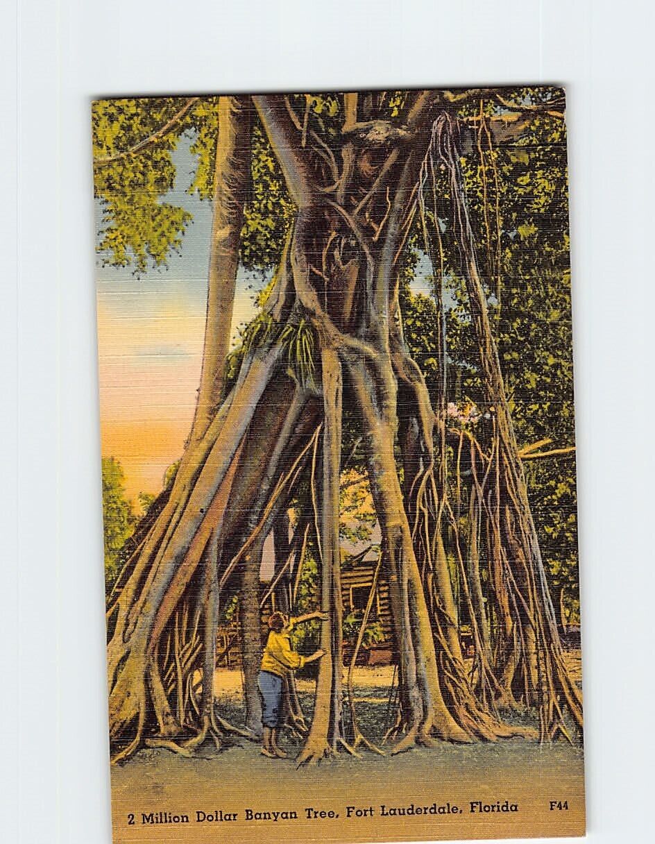 Postcard 2 Million Dollar Banyan Tree Fort Lauderdale Florida USA