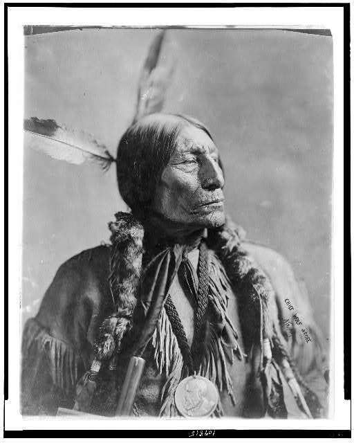 Wolf Robe,Cheyenne Indians,clothing,dress,feathers,B Harrison medallion,c1904