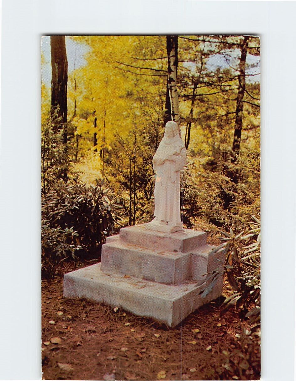 Postcard Saint Francis Patron Saint of Stanley Park