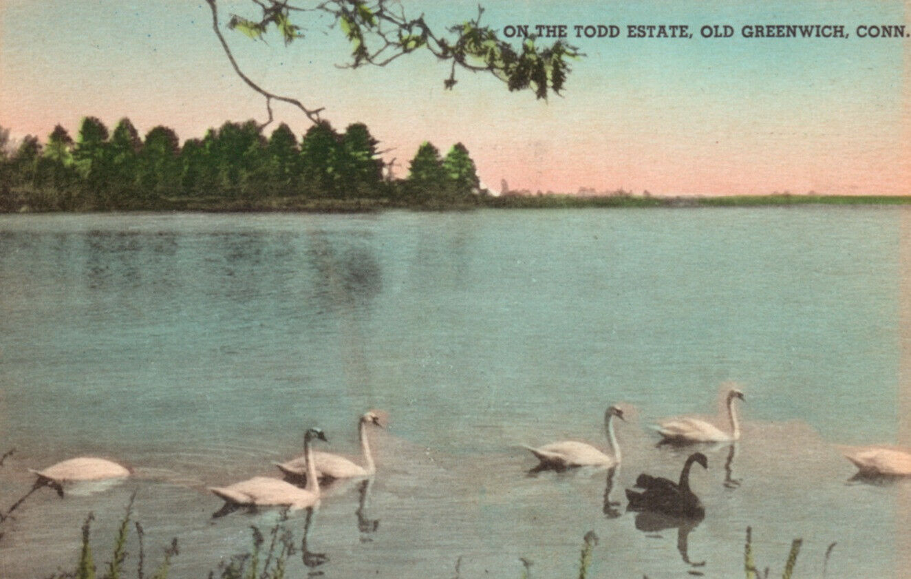 Old Greenwich Connecticut Tods Point Tide Pond Lake Postcard