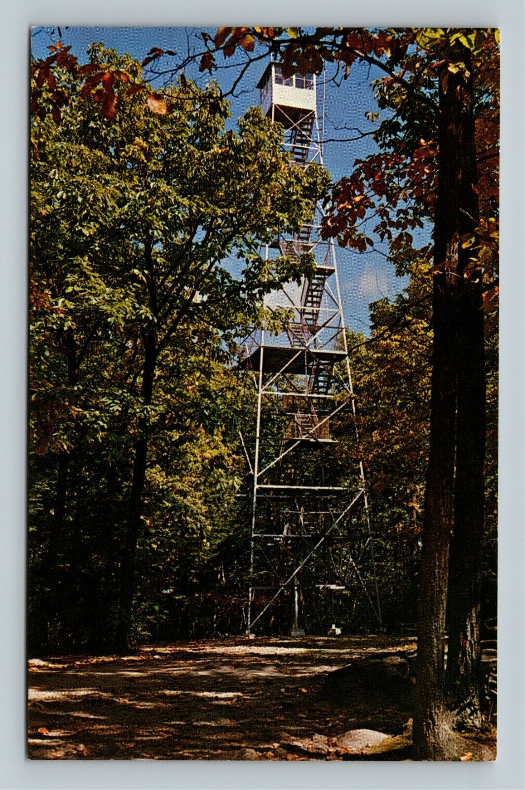 Cooksburg PA, Cook Forest State Park, Fire Tower, Pennsylvania Vintage Postcard