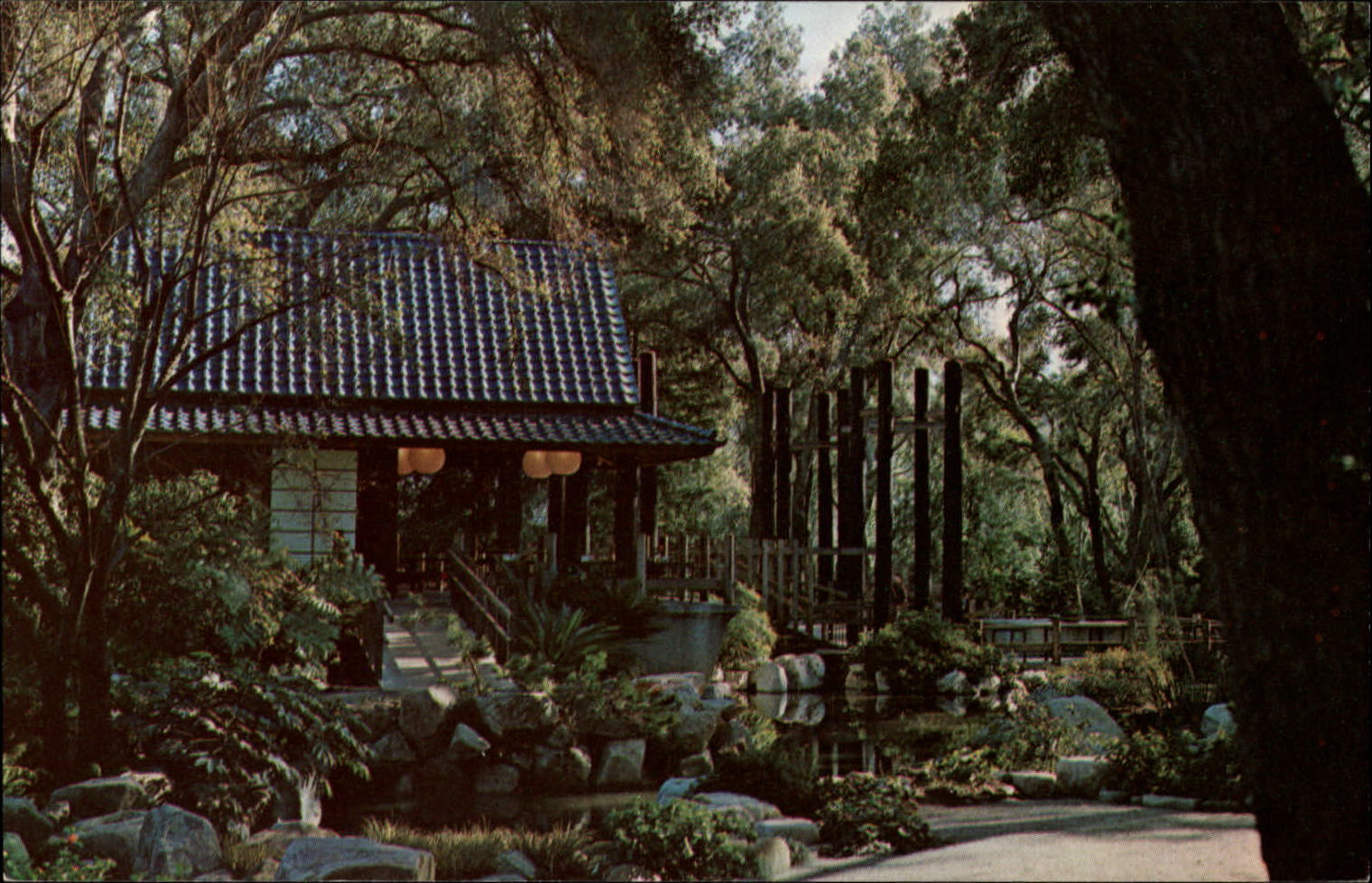 Japanese Garden Descanso Gardens La Canada California ~ 1950-60 vintage postcard