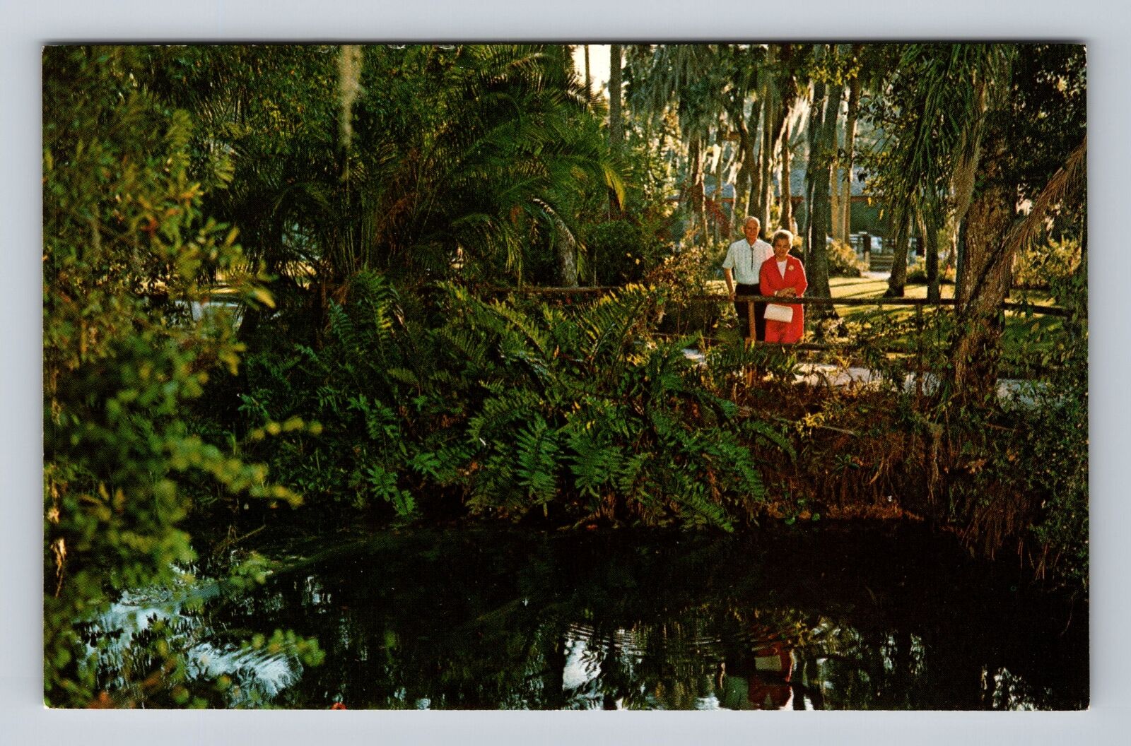 Homosassa Springs FL-Florida, Foot Bridge, Pond, Antique Vintage Postcard