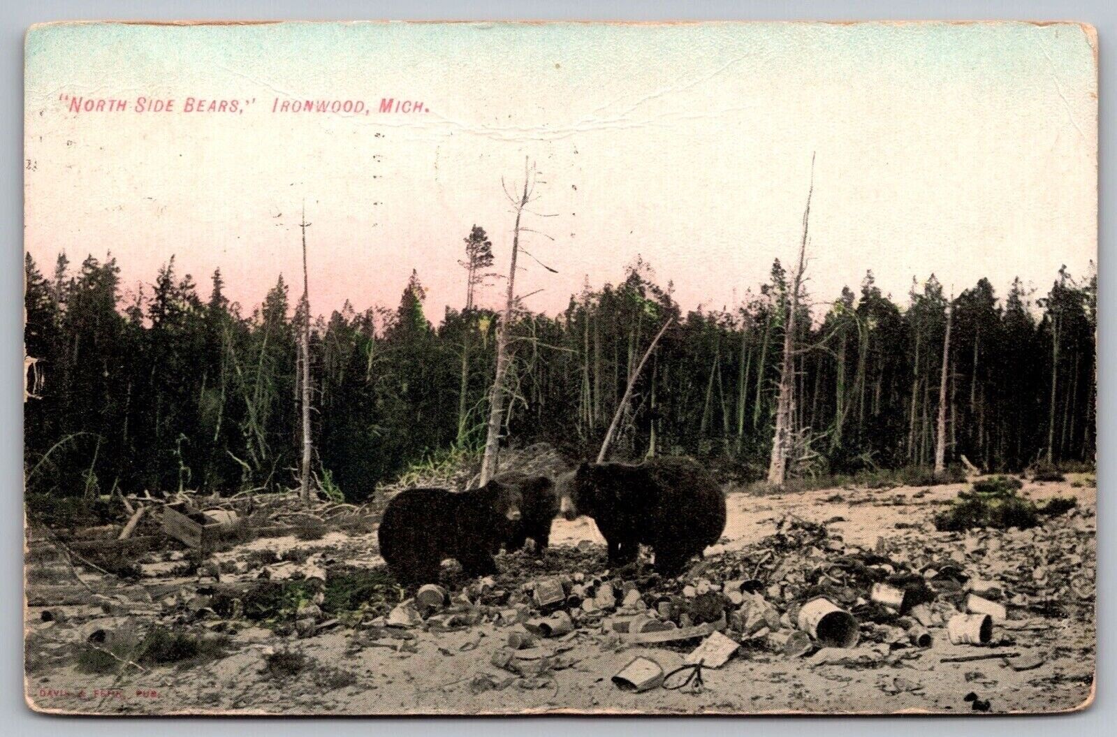 North Side Bears Ironwood Michigan Forest Animals Cancel 1910 Antique Postcard