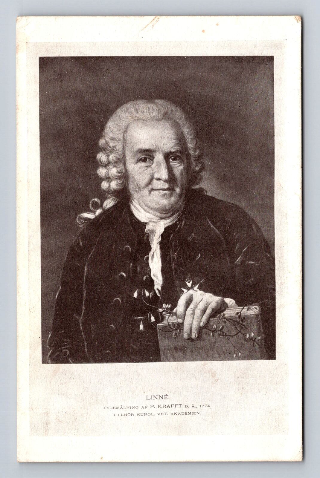 London-United Kingdom, Portrait Carl Linnaeus, British Museum Vintage Postcard
