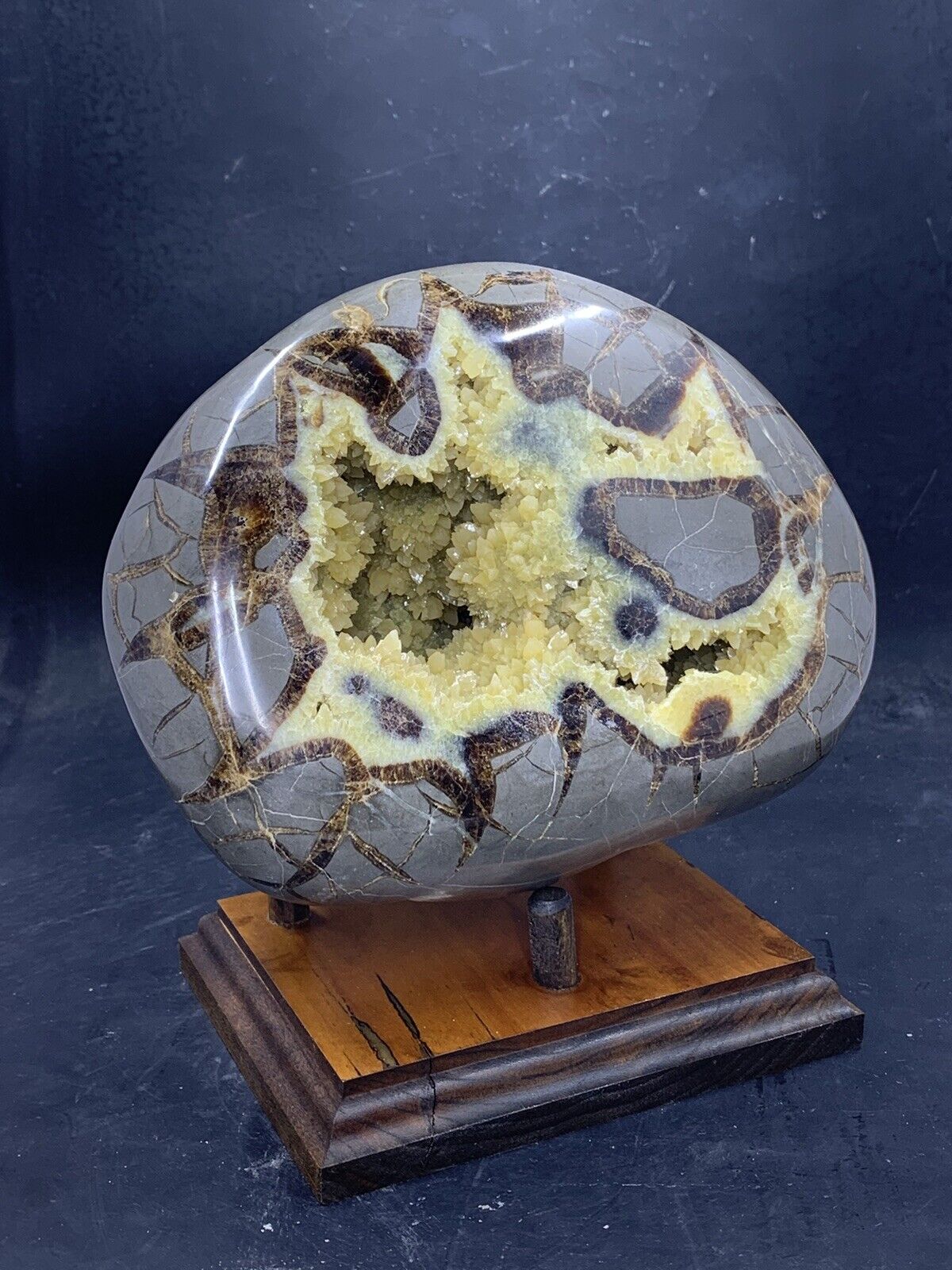 Septarian Nodule Hollow Half ( Utah)with Stand And Description Card