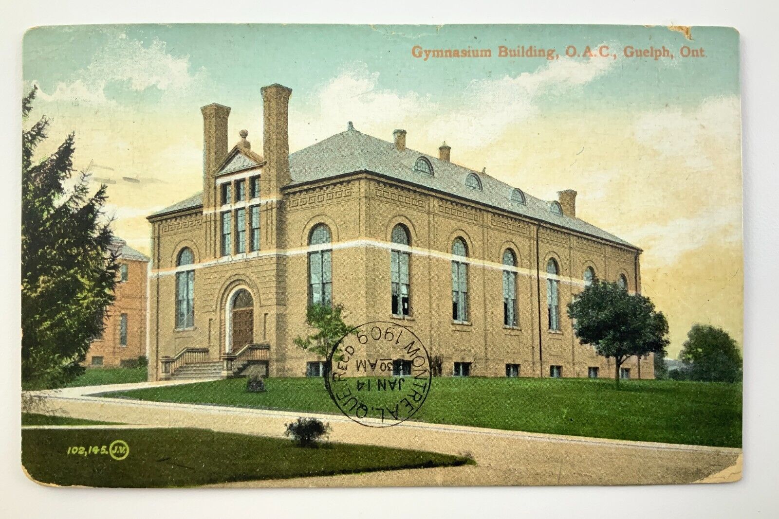 Gymnasium Building OAC Guelph Ontario Canada Souvenir Postcard 1909 FF059