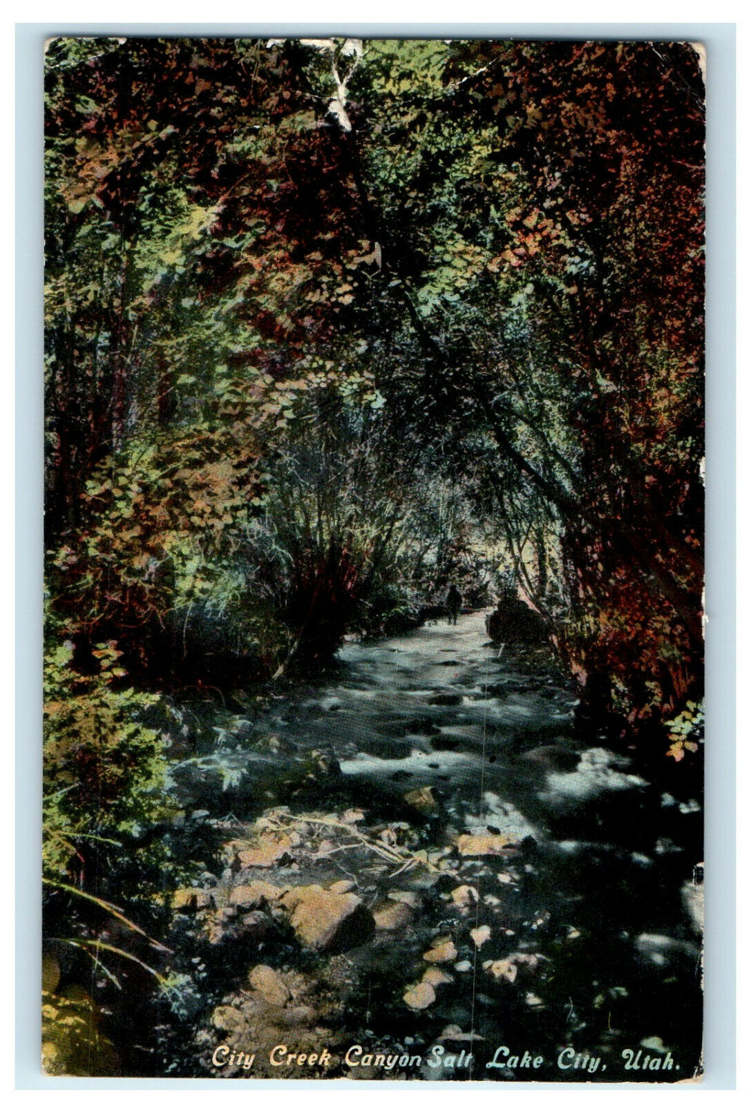 1915 Yellowstone Park NY City Creek Canyon Salt Lake City, Utah UT Postcard