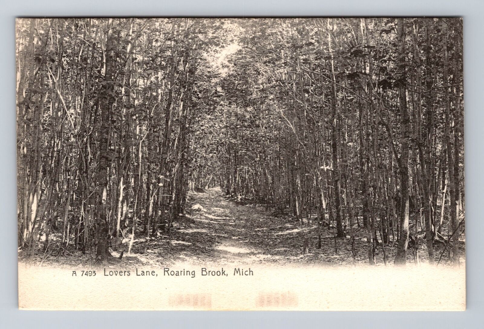 Roaring Brook MI-Michigan, Lovers Lane, Antique, Vintage Postcard