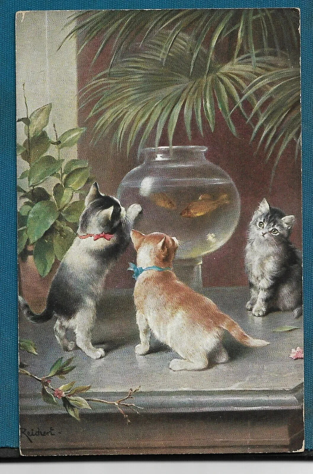 1900s. Germany Augsburg Vintage Postcard, Cat Kitten Kitty - Animals 