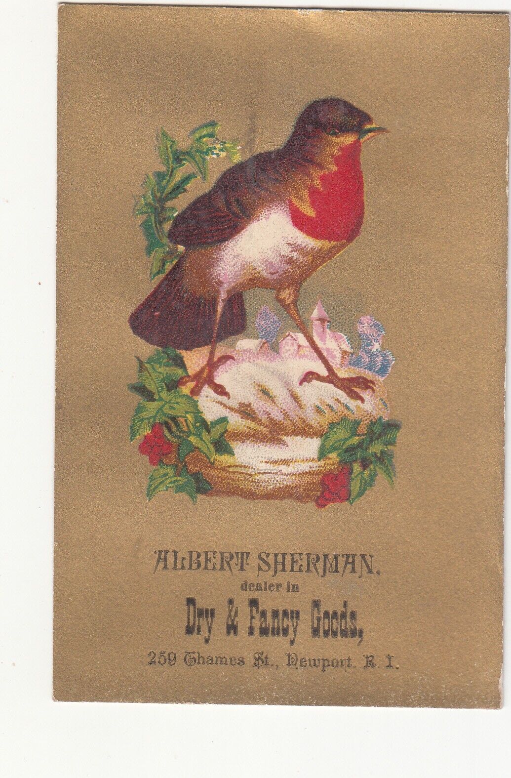 Albert Sherman Dry & Fancy Goods Newport RI Robin Church Holly Vict Card 1880s