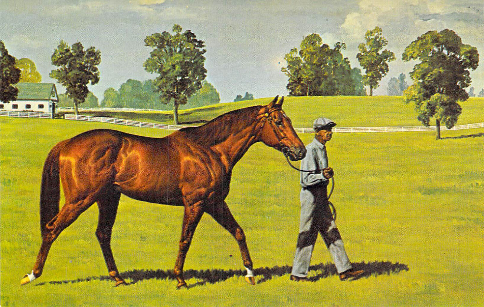 SWAPS Thoroughbred Race horse born 1952 & groom Artist drawn postcard A69