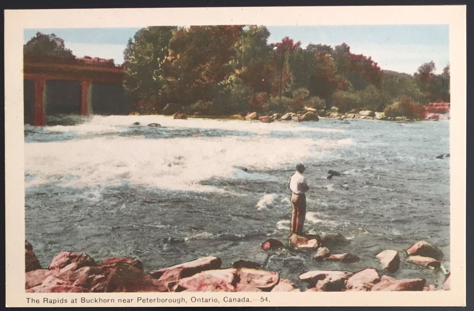 Rapids At Buckhorn Near Peterborough Ontario Canada Vintage Postcard