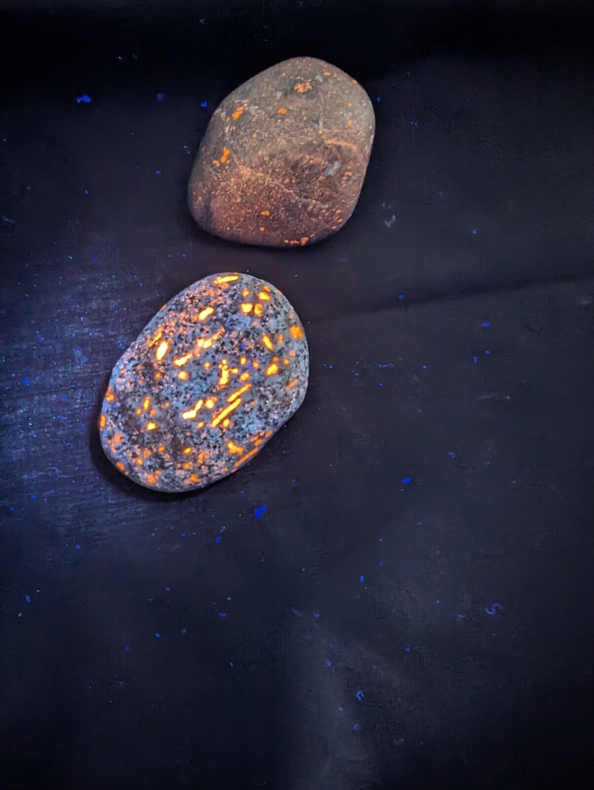 Yooperlite Rock Set Of 2 from Lake Ontario Fluorescent Sodalite 