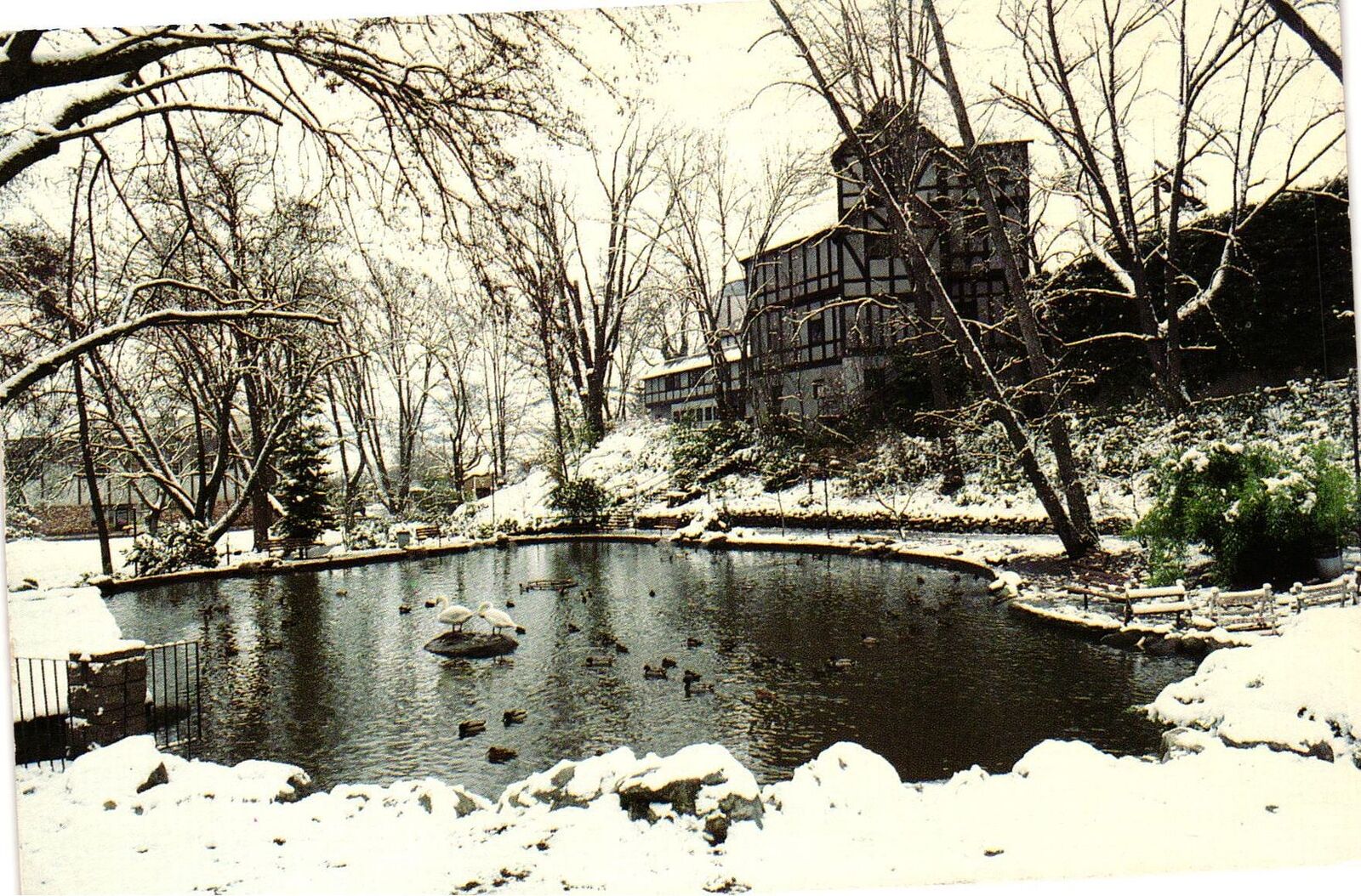 Vintage Postcard 4x6- LOWER DUCK POND AND SHAKESPEAR THEATER, LITHIA PARK, ASHLA
