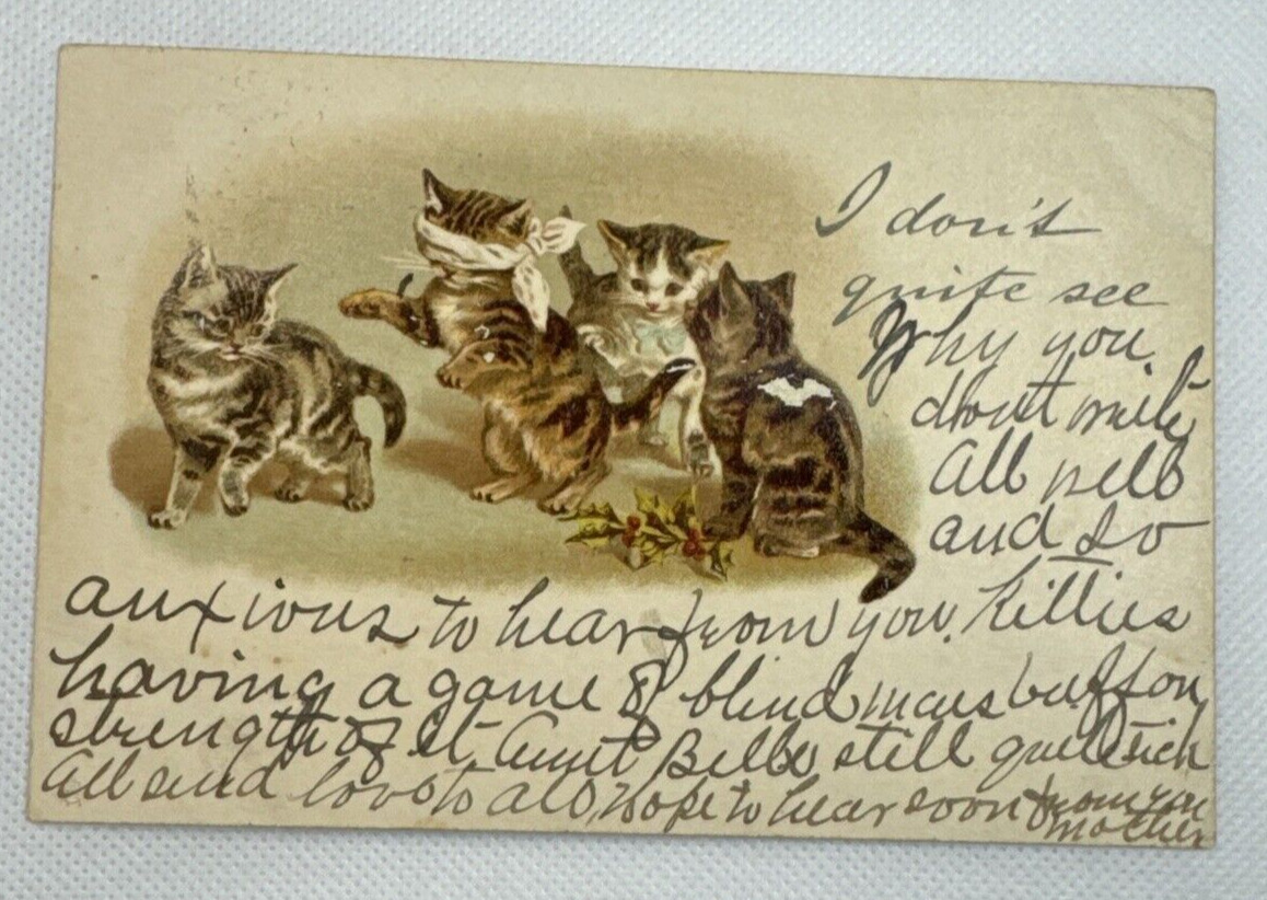 Kittens Cats Playing Hide & Seek Raphael Tuck Write Away Series Vintage Postcard
