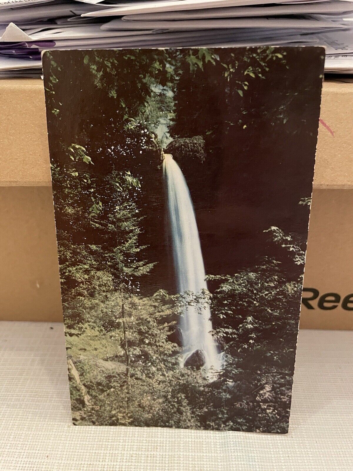 Vtg Postcard Chrome North Falls At Silver Falls OR Unused