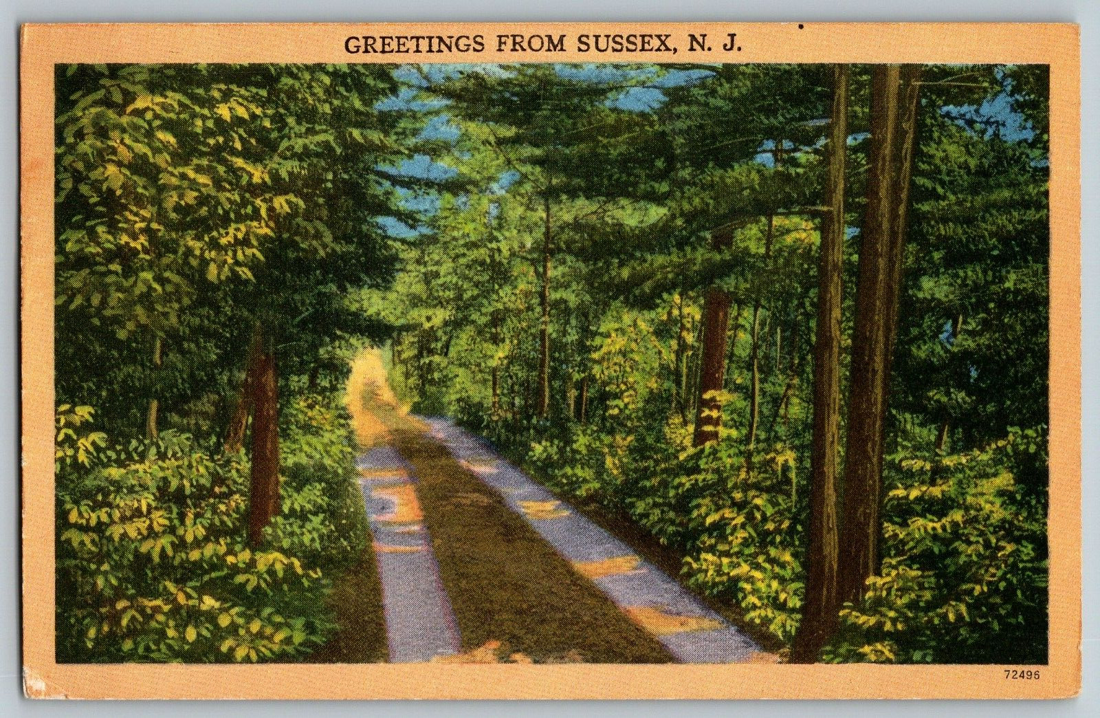 New Jersey - Greetings from Sussex, New Jersey - Vintage Postcard - Posted