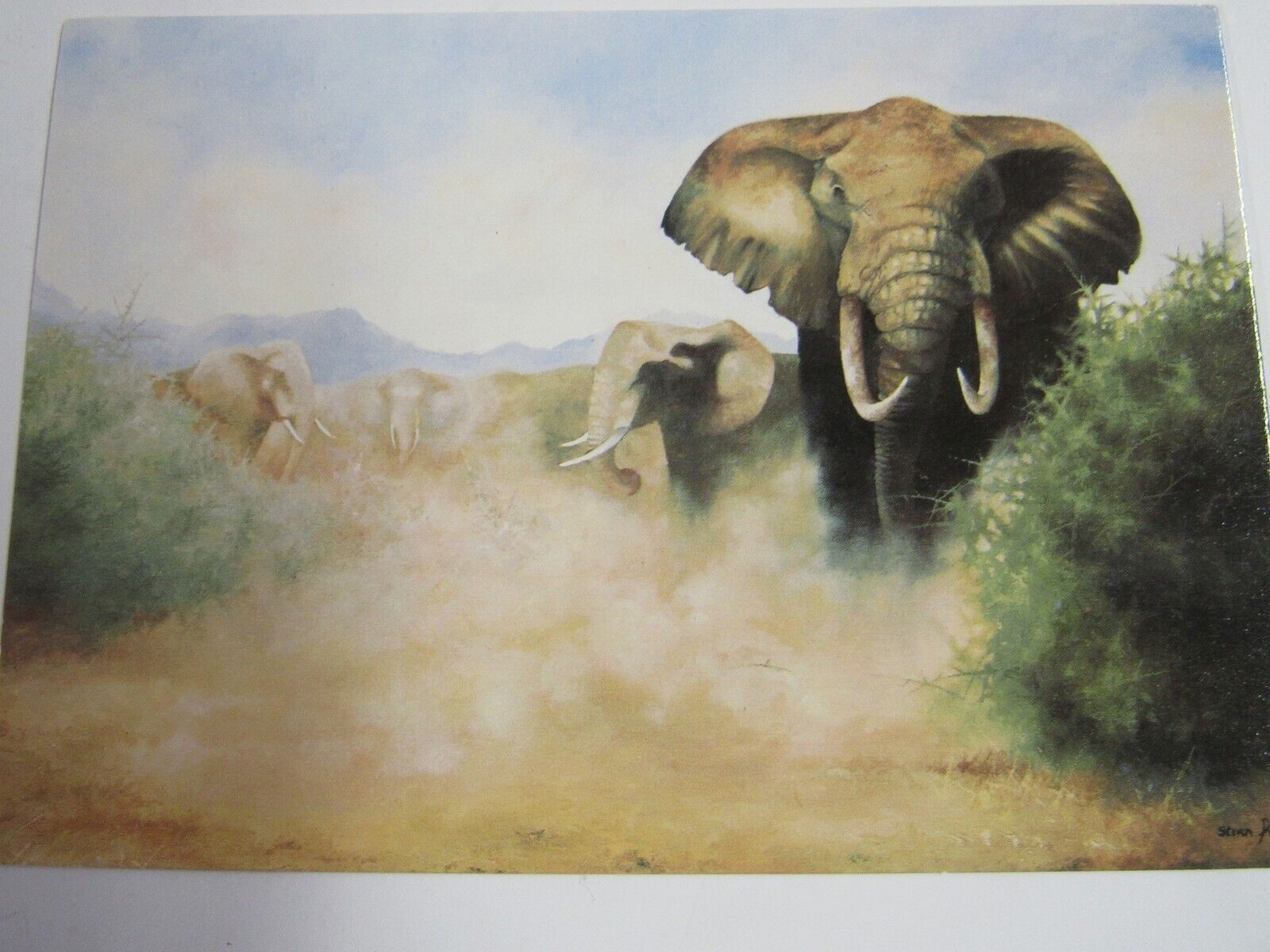 Vintage Medici Society Defending The Herd Postcard P.C.2159 Elephant