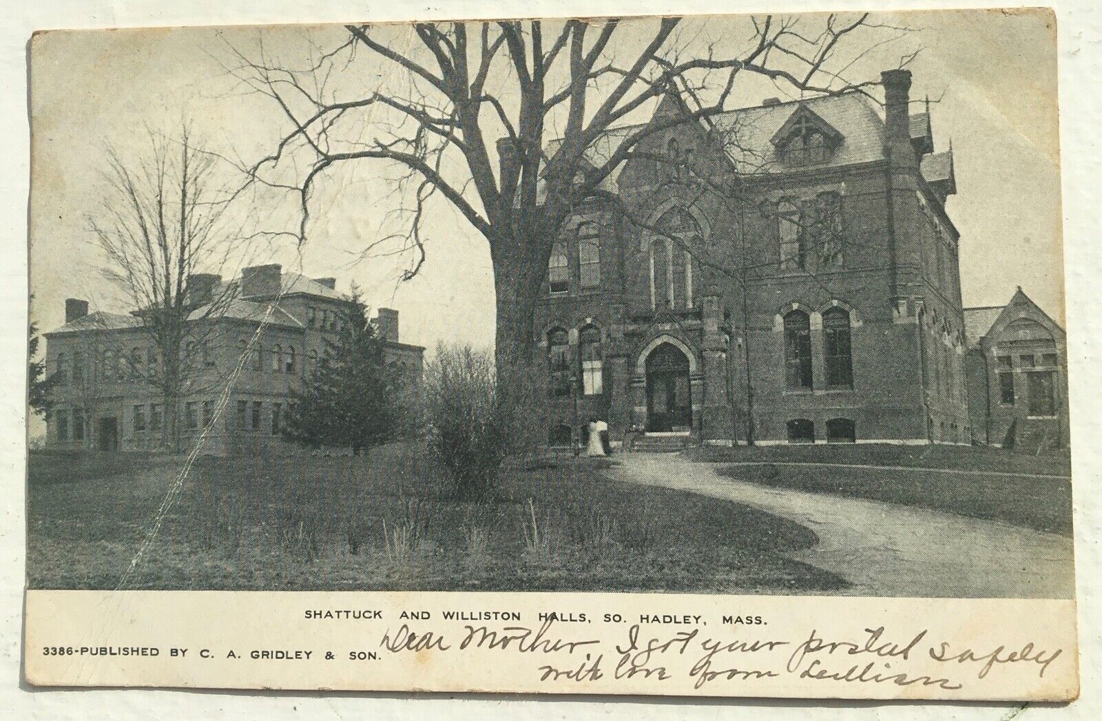Vintage Postcard Shattuck and Williston Halls, Mt. Holyoke, Hadley, Ma.