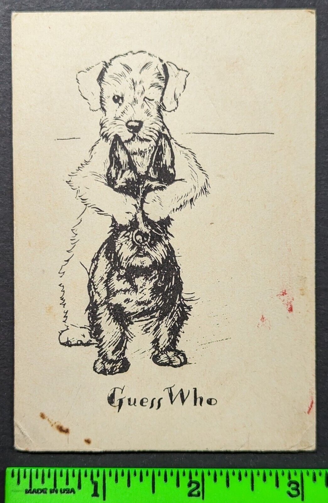 Vintage 1880\'s Guess Who Dog Terrier Play Peekaboo Trade Card