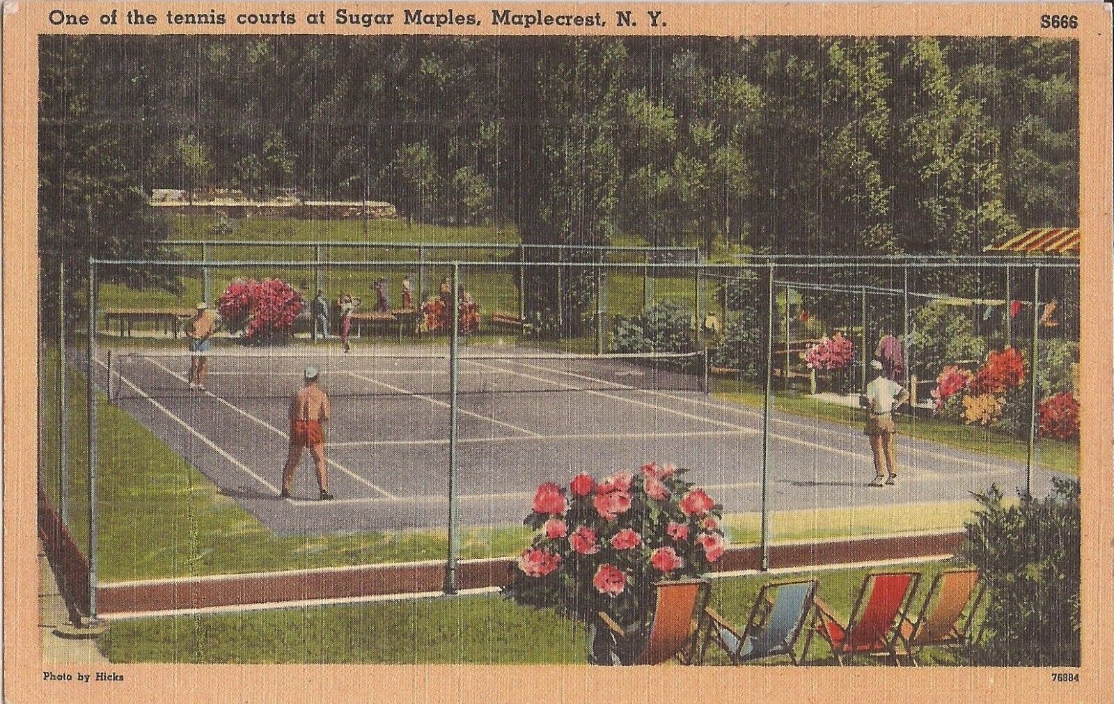 Maplecrest, NEW YORK - Sugar Maples - Tennis Courts - 1950
