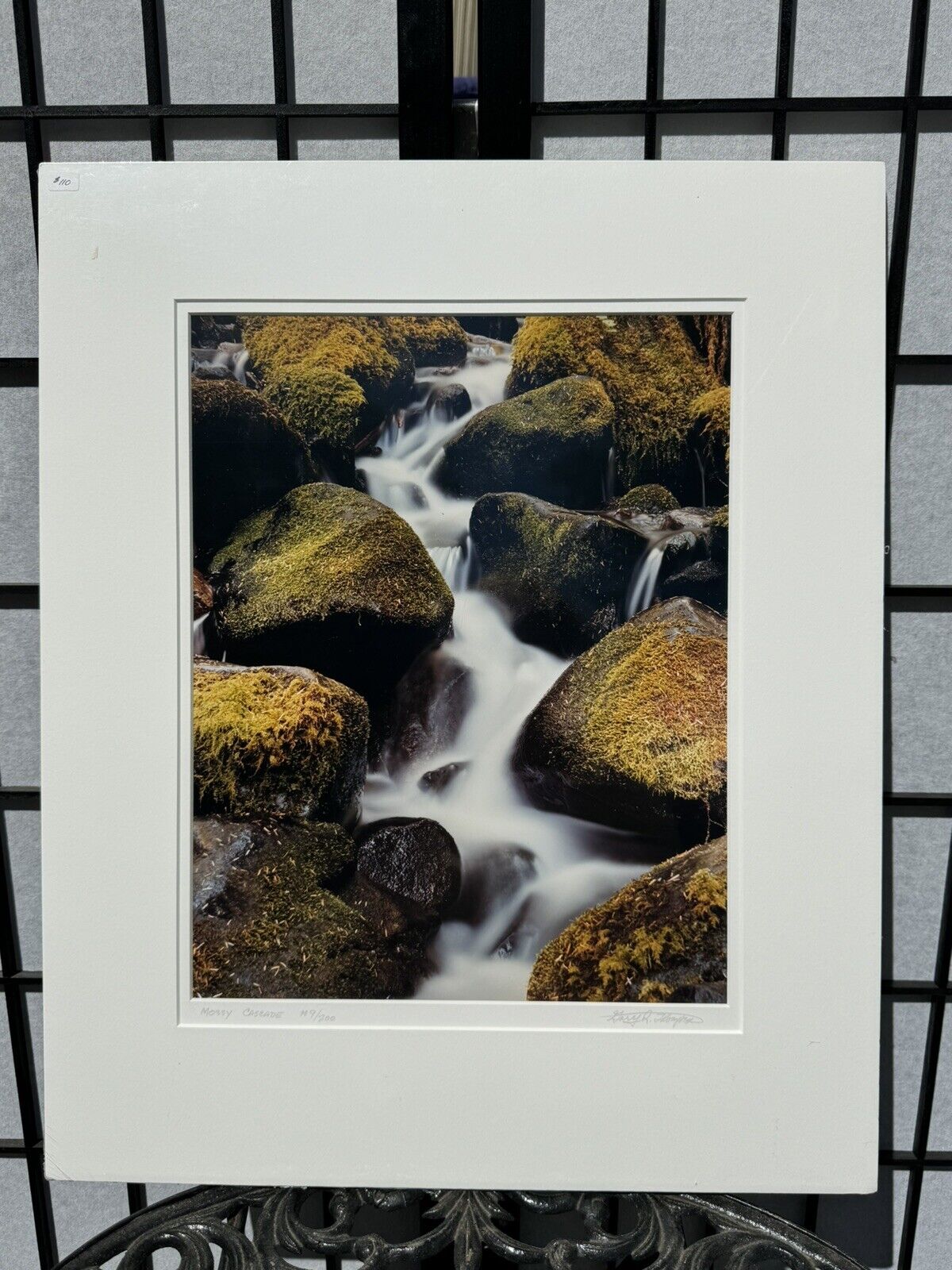 Gary Thompson Mossy Cascade Photograph 10/200 20” X 16” Matted Photo Signed
