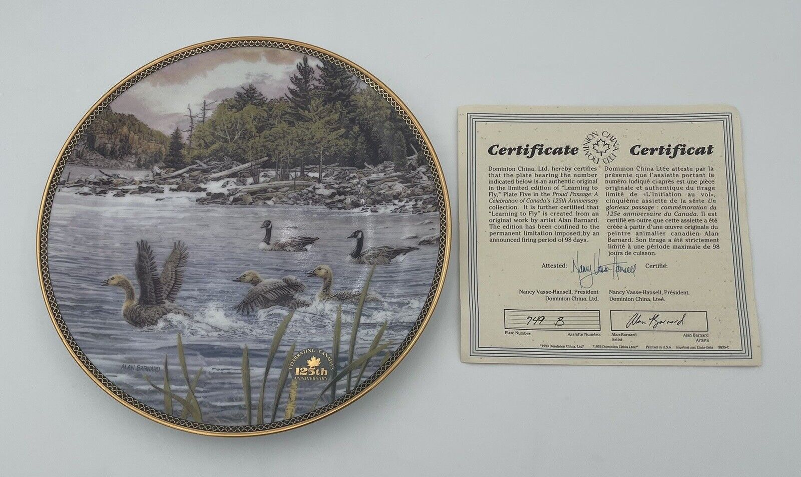 Bradford Exchange 1993 Collector’s Plate “Learning To Fly” With Certificate ￼VTG