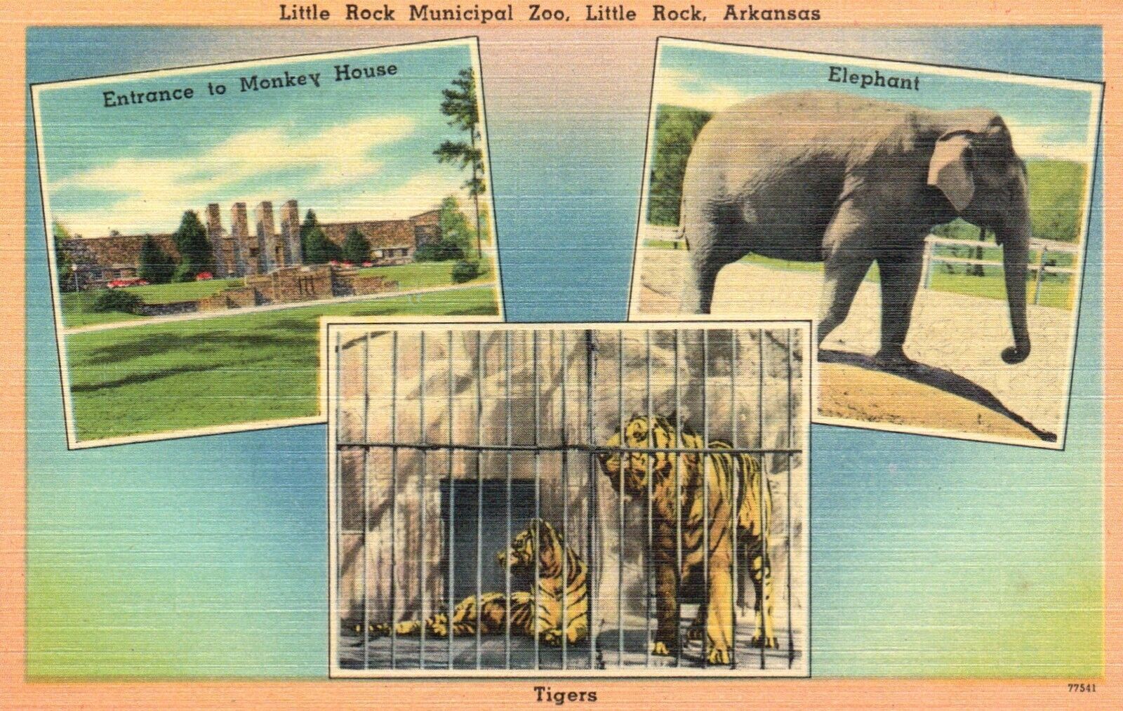 Postcard AR Little Rock Municipal Zoo Elephant Tiger Linen Vintage PC G3669