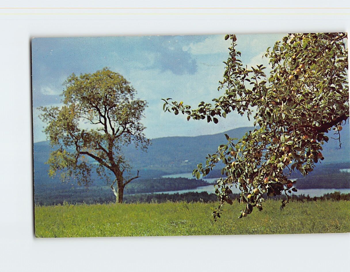 Postcard Squam Lake From Center Harbor New Hampshire USA