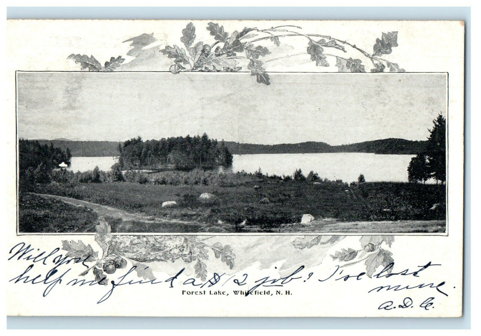1907 Whitefield NH Forest Lake Leaf Printed Antique Posted Postcard