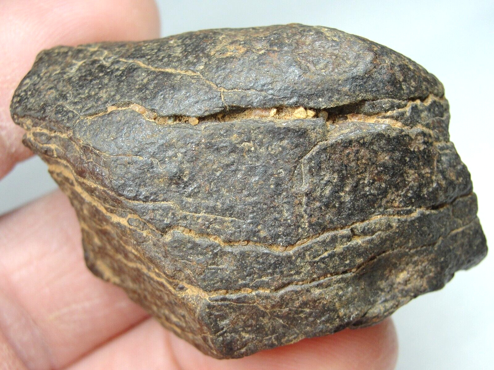 Meteorite - SLS-1890 - 79.0g - EXCELLENT METEORITE SPECIMEN - NATURAL METEORITE