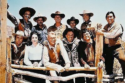 The High Chaparral Entire Cast Pose By Corral Fence 11x17 Mini Poster