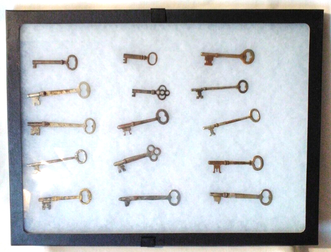 Skeleton Key Lot Of 15 With Case Solid Antique Pass Keys Victorian Shadowbox Art
