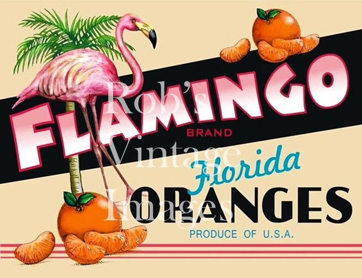 Dunedin Florida Pink Flamingo Orange Fruit Crate Label Art Print