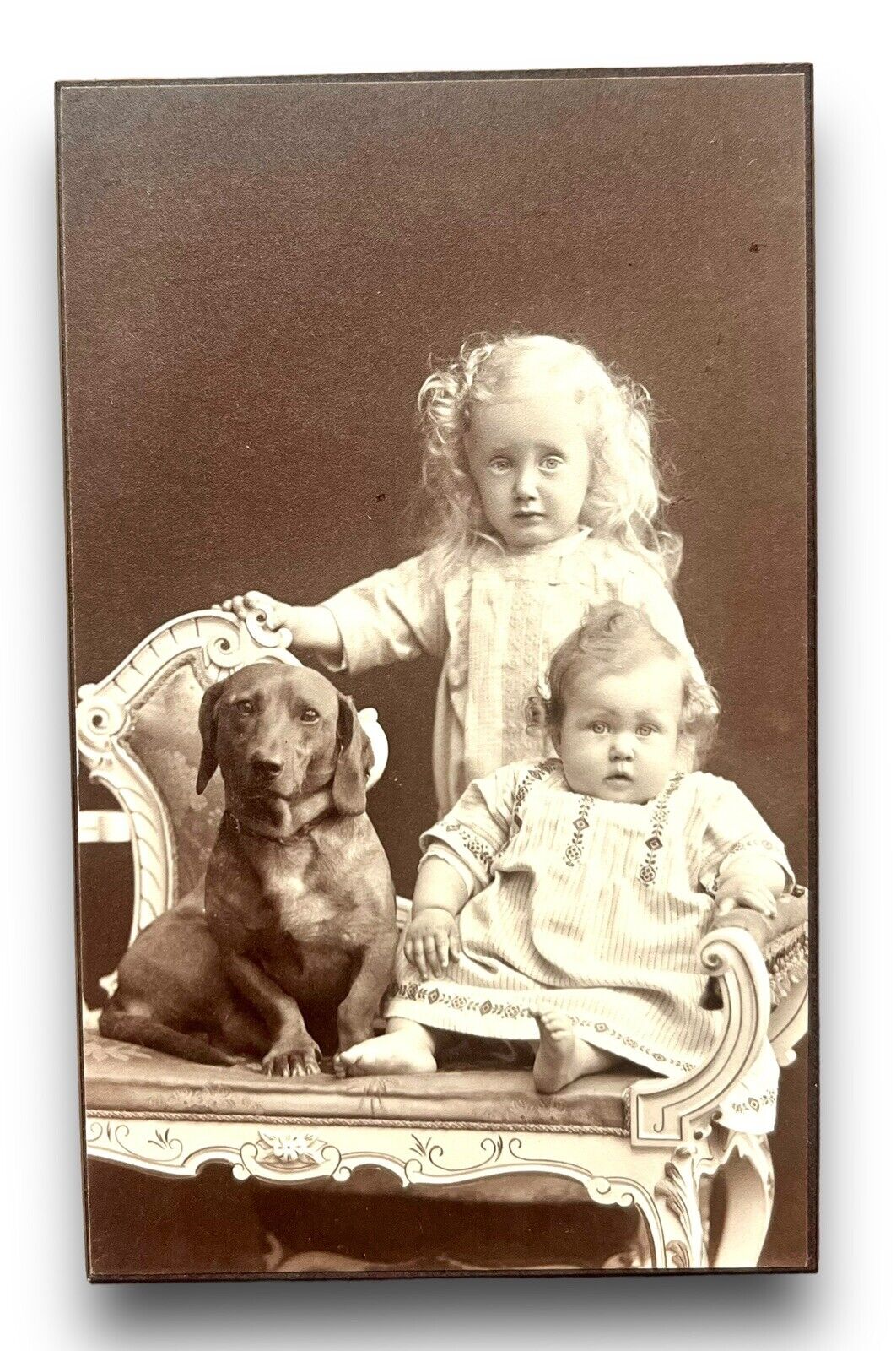 Antique CDV Photo Young Children With Dog