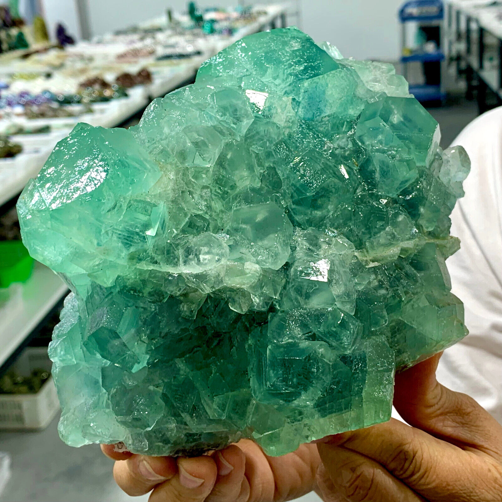 5.97LB Rare transparent green cubic fluorite mineral crystal sample / China