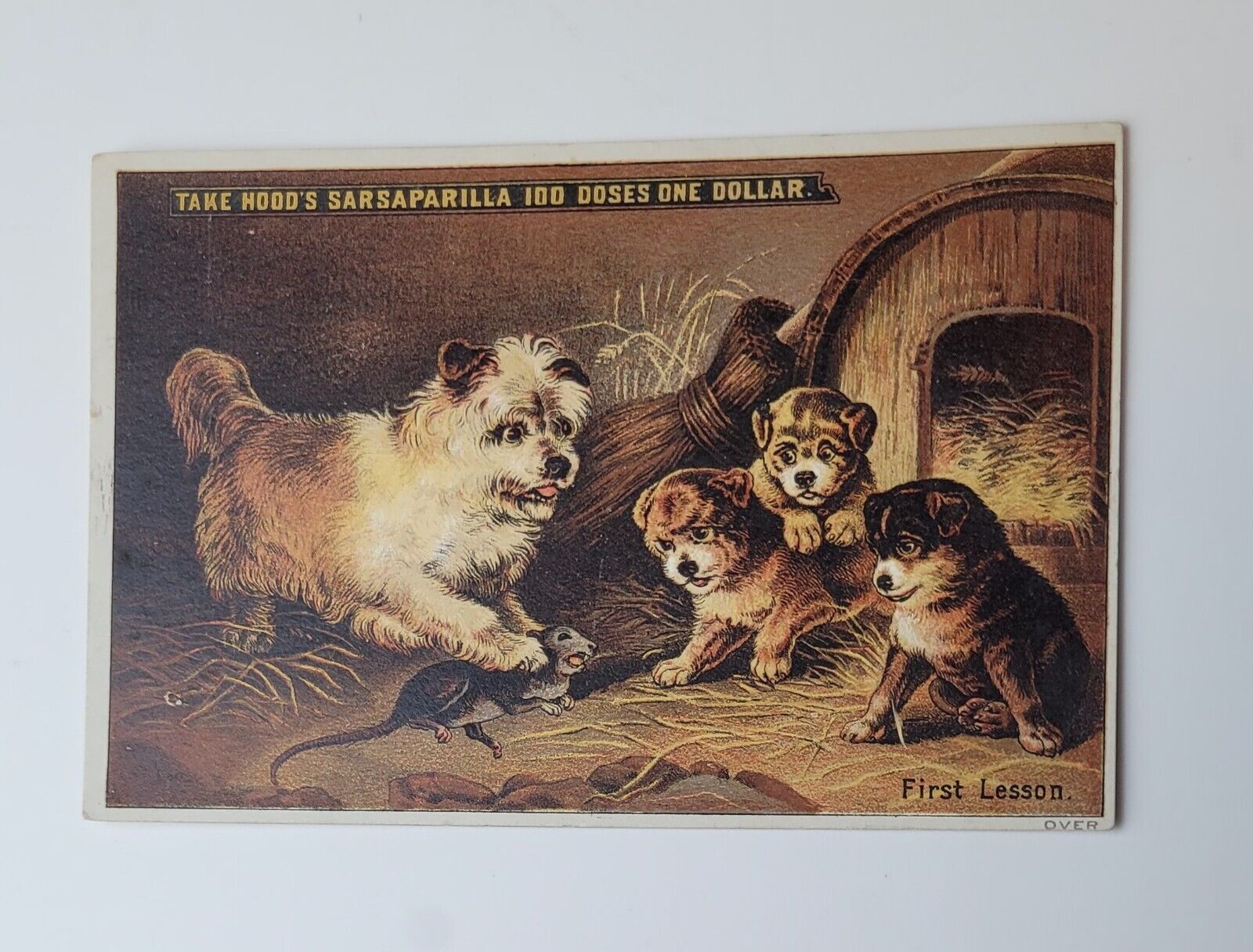 HOOD\'S SARSAPARILLA ADVERTISING CARD PUPPY DOG LITHO C.I. HOOD & CO. LOWELL MASS