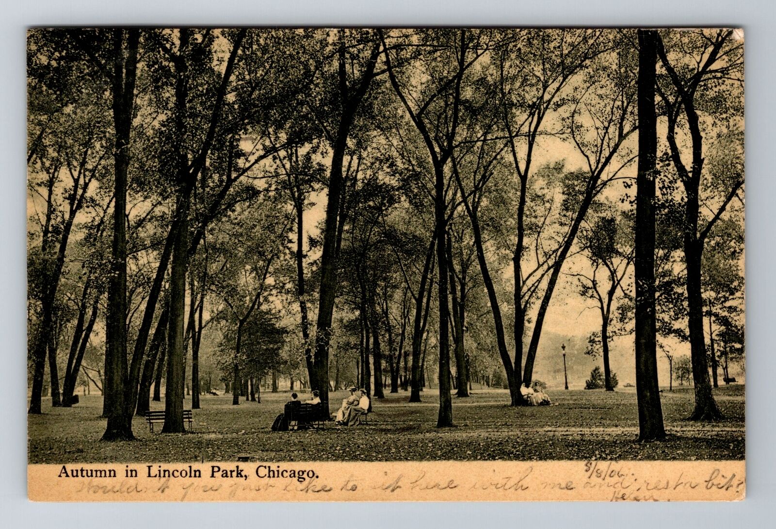 Chicago IL-Illinois, Autumn in Lincoln Park, c1906 Antique Vintage Postcard
