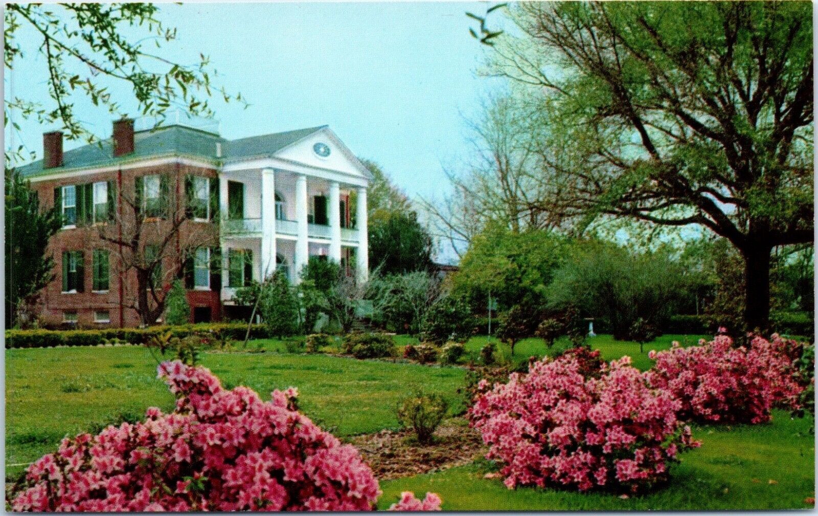 Natchez, MS - Rosalie Postcard Chrome Unposted Mansion Plantation Azaleas
