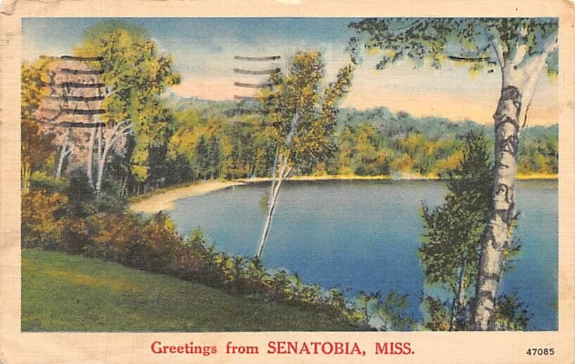Postcard MS: Greetings from Senatobia, Mississippi, Vintage Linen, Posted 1954