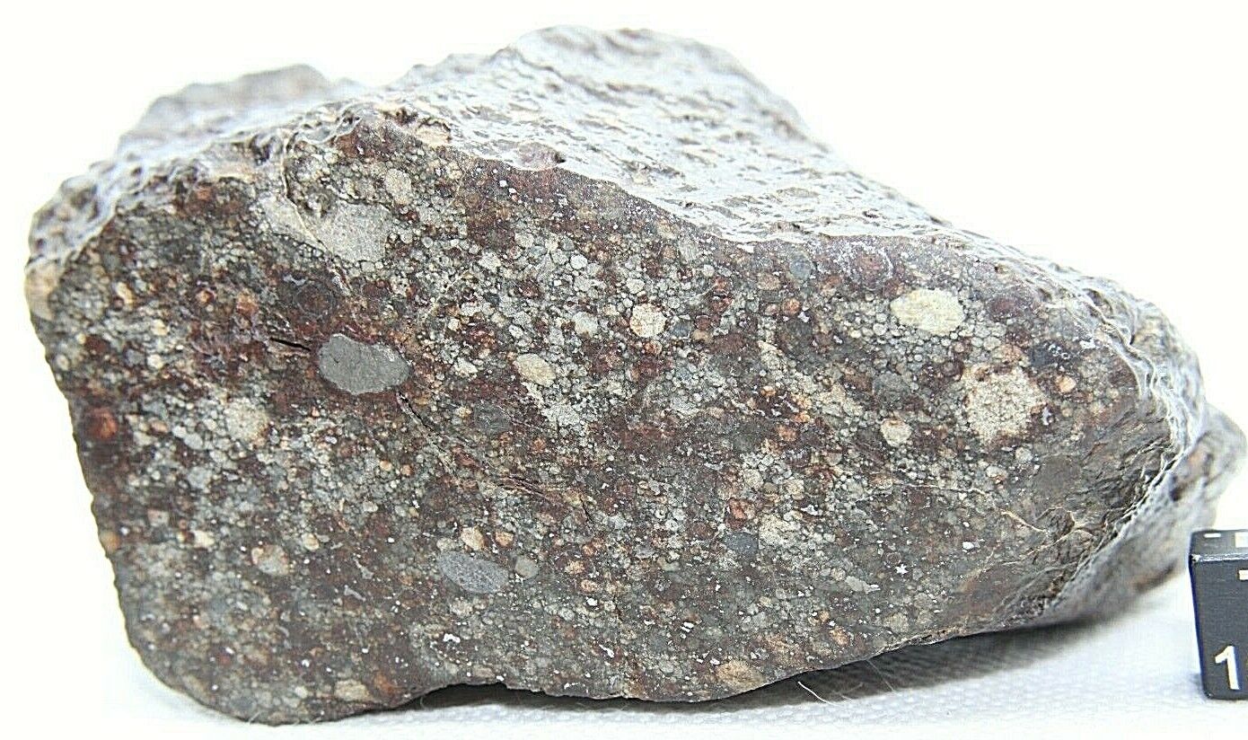 NEA 018 LL3 Primitive Chondrite Meteorite Rare, Type 3 Meteorite 691 Gram 