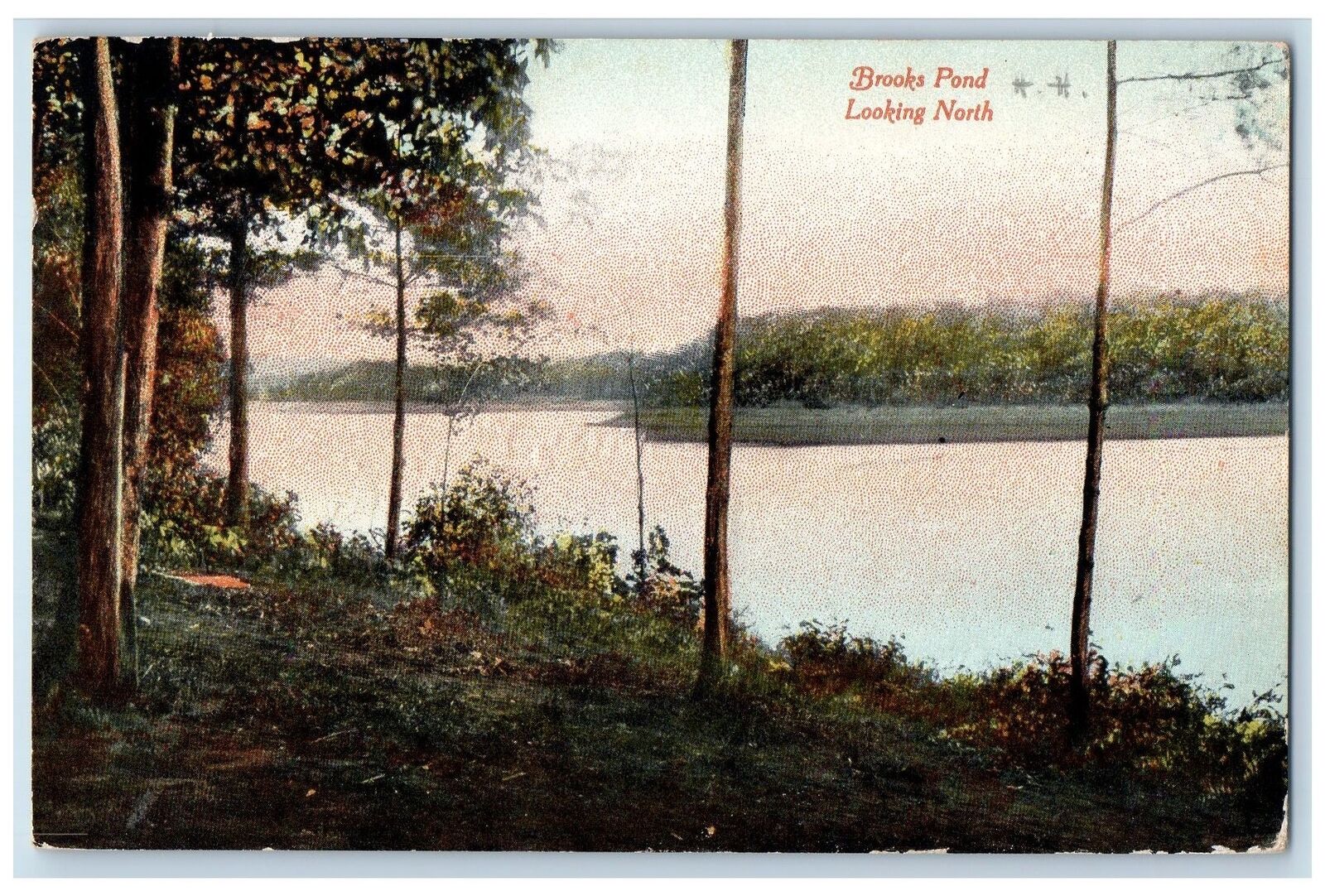 1910 Brooks Pond Looking North View Lake Trees Grove Massachusetts MA Postcard