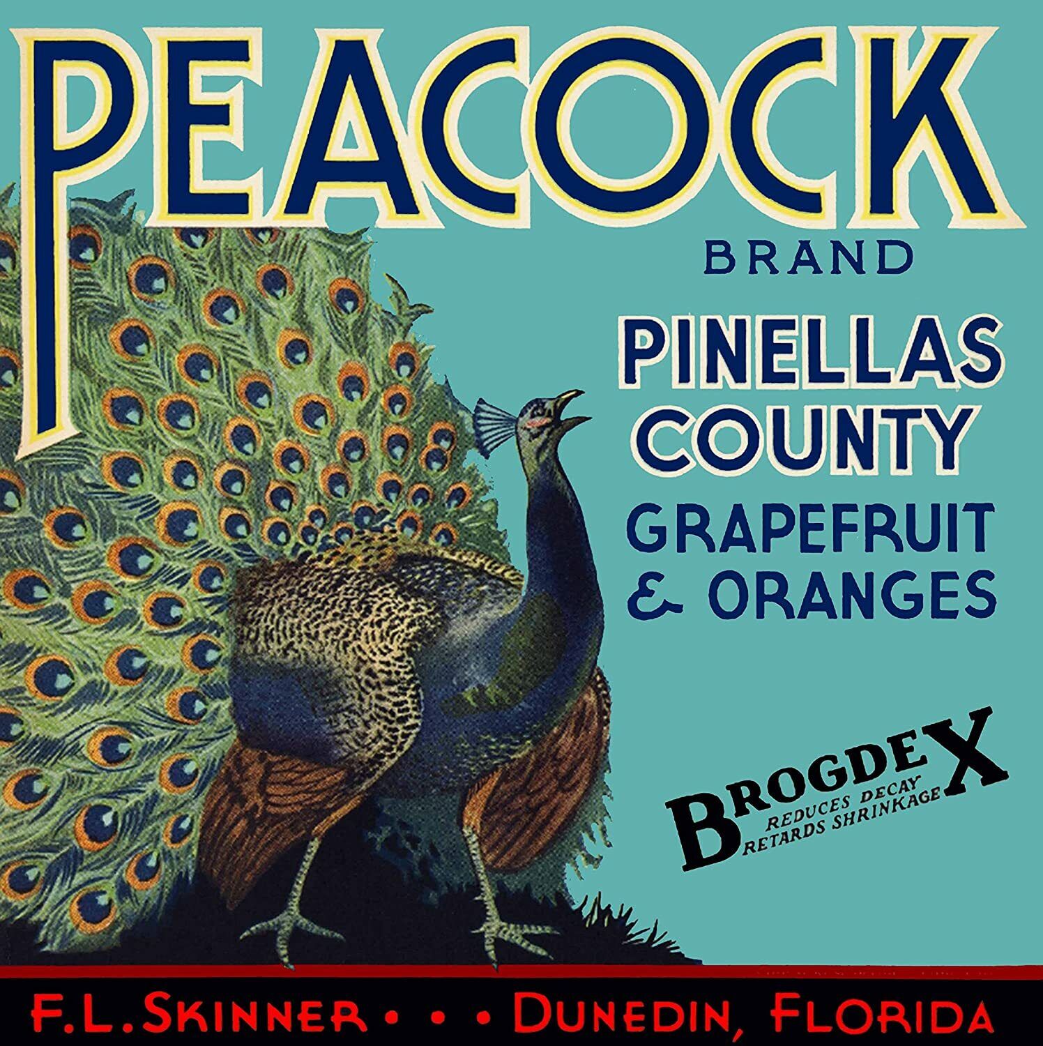 Pinellas County Duneded Fl Peacock Orange Fruit Crate Label Vintage Art Print