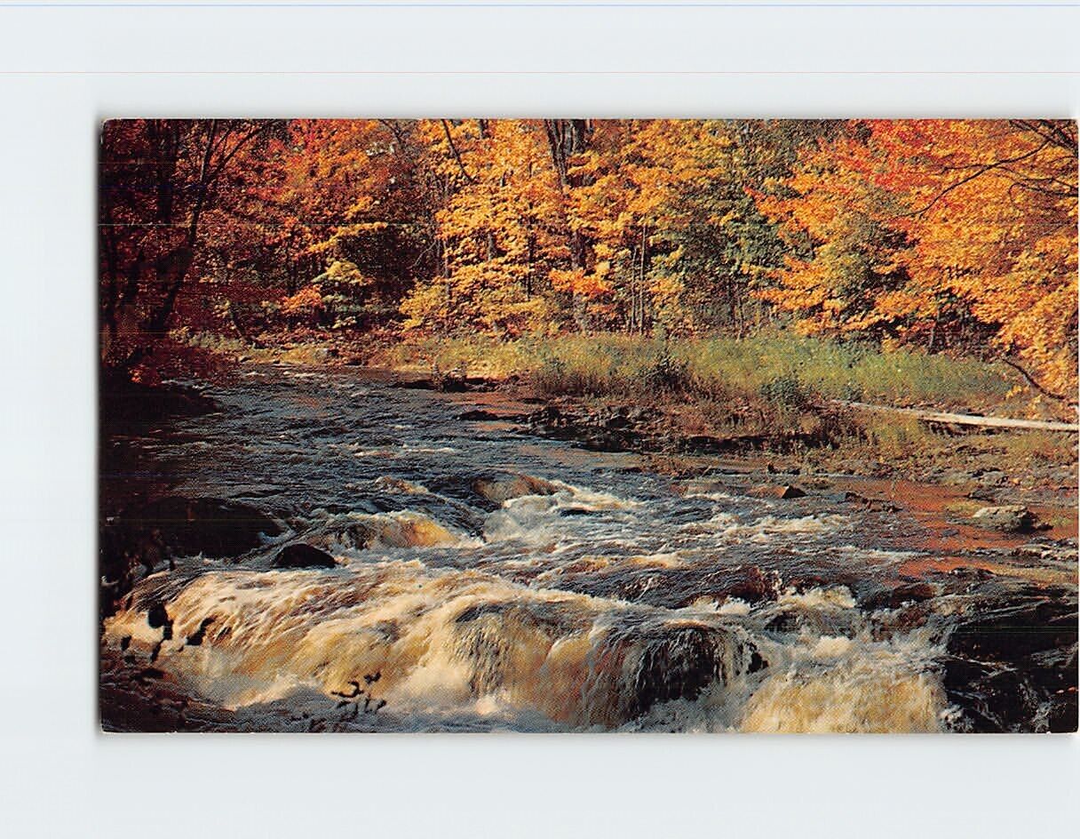 Postcard Rushing Waters Greetings from Loretto Pennsylvania USA